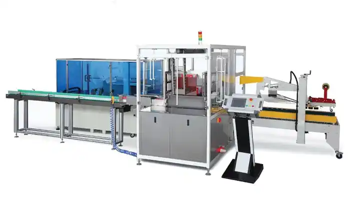 Master Carton Packaging Machine